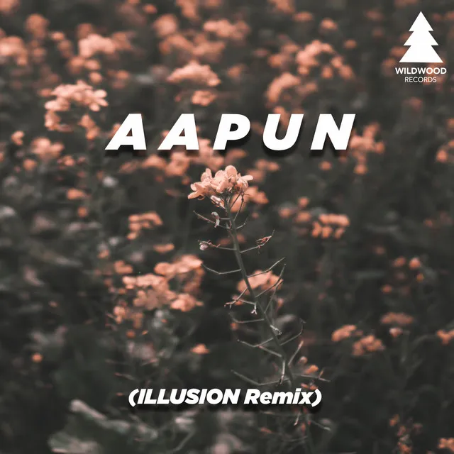 Aapun - Illusion Remix