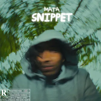 Snippet by Mata