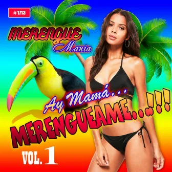 Ay Mama... Merengueame, Vol. 1 by Merenguemania