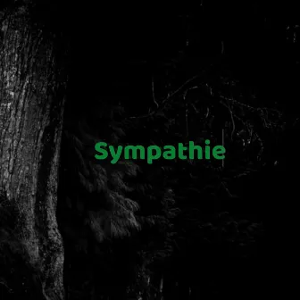 Sympathie by Lil Joshii