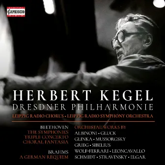 Beethoven, Brahms & Others: Orchestral Works by Herbert Kegel