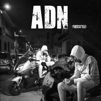 ADN (FreeStyle) by π Beats