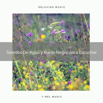 Sonidos De Agua y Ruido Negro para Escuchar by Ruído De Colores Para Bebes