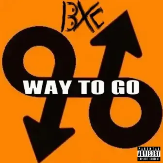 Way To Go by Bradster X