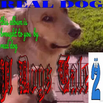 A Dogs Tale 2 by Real Dog