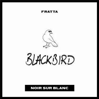 Blackbird by FRATTA