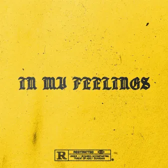 In My Feelings by Shane Michael