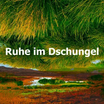 Ruhe im Dschungel by Naturgeräusche für Entspannung und Erholung