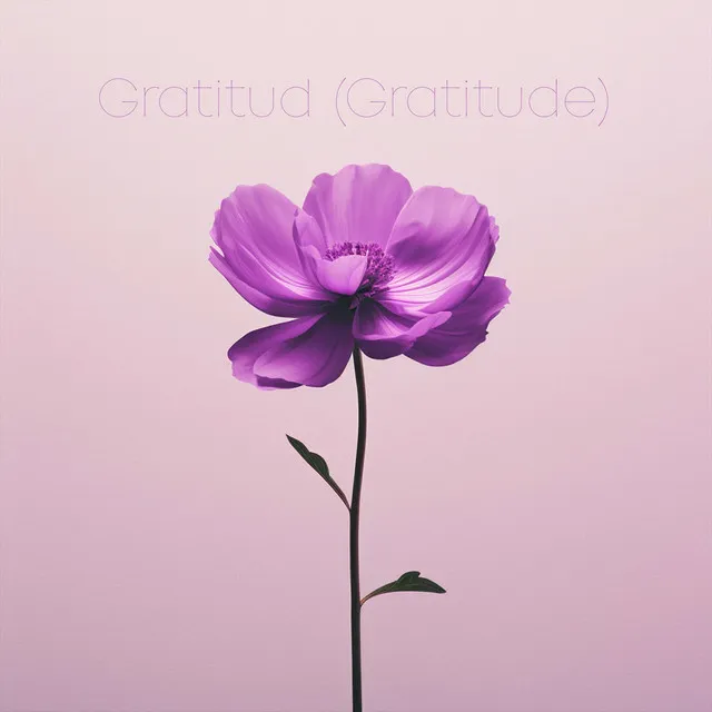 Gratitud (Gratitude)