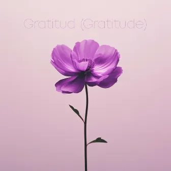 Gratitud (Gratitude) by Anthem Worship Español