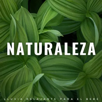 Naturaleza: Lluvia Relajante Para El Bebé by Lullabies de bebé