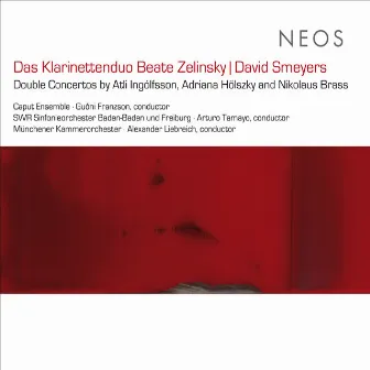 Ingólfsson, Hölszky & Brass: Double Concertos by David Smeyers