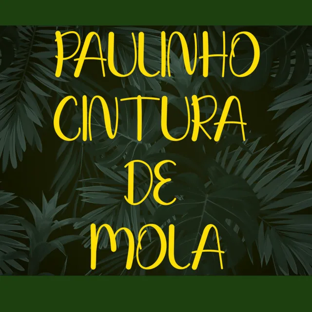 Paulinho Cintura de Mola