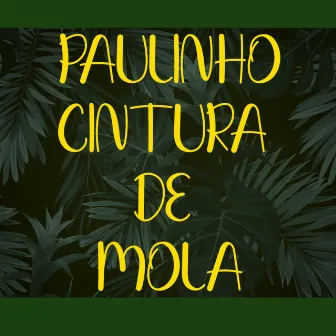 Paulinho Cintura de Mola by Betão DJ