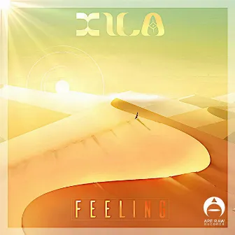 Feeling by Xila