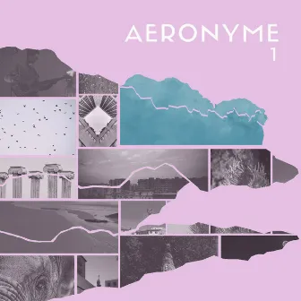 1 by AERONYME