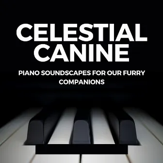 Celestial Canine: Piano Soundscapes for Our Furry Companions by Dog Separation Anxiety Music