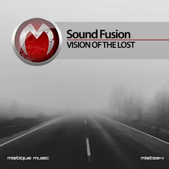 Vision of the Lost by Sound Fusion