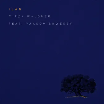 Ilan by Yitzy Waldner