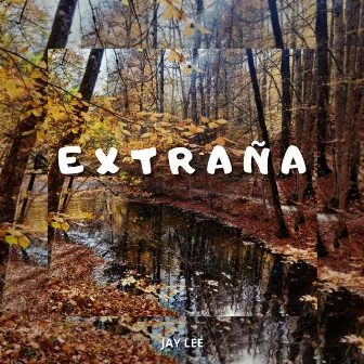 Extraña by Jay Lee