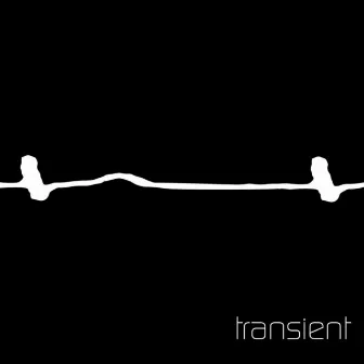 Transient by Transient