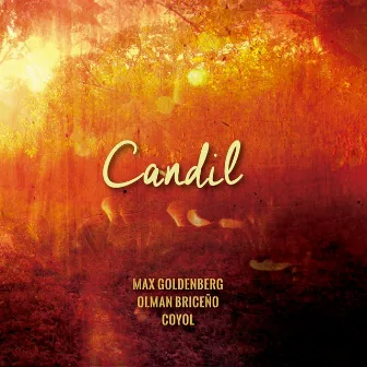 Candil by Max Goldenberg