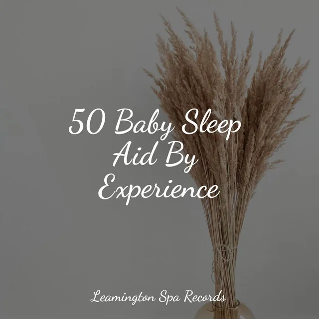 50 Baby Sleep Aid By Experience