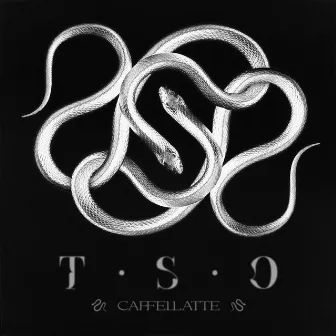 TSO by Caffellatte