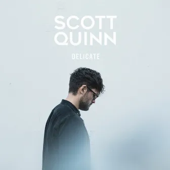 Delicate by Scott Quinn