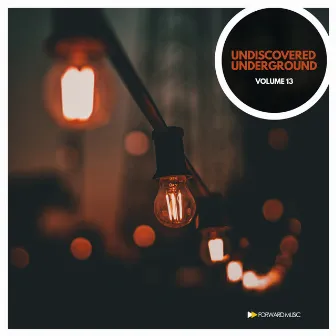 Undiscovered Underground, Vol. 13 by Arina Mur