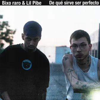 De qué sirve ser Perfecto by Bixo Raro