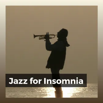 Jazz for Insomnia by Study Jazz