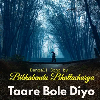 Taare Bole Diyo by Bibhabendu Bhattacharya