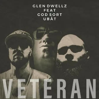 VETERAN by Glen Dwellz