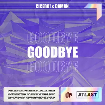 Goodbye by Damon.