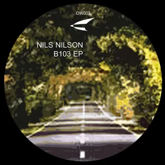 B 103 by Nils Nilson