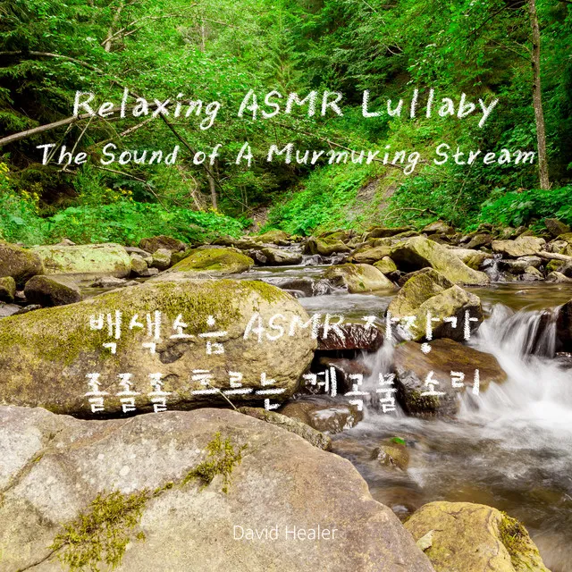 Relaxing ASMR Sound of A Murmuring Stream Lullaby