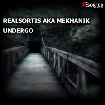 Undergo by Realsortis Aka Mekhanik