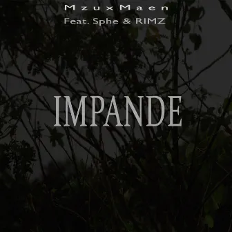 Impande by Mzux Maen