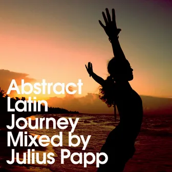 Abstract Latin Journey by Julius Papp