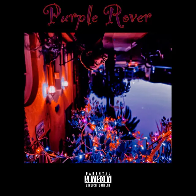 Purple Rover