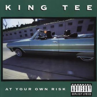 At Your Own Risk by King Tee