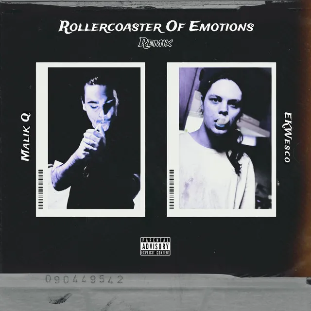 Rollercoaster Of Emotions - Remix