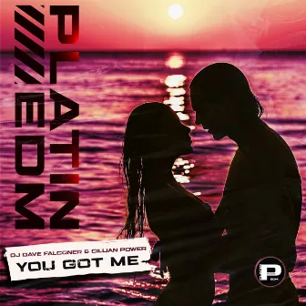 You Got Me by Platin EDM