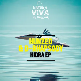 Hidra by HUNZED