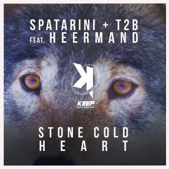 Stone Cold Heart by T2B