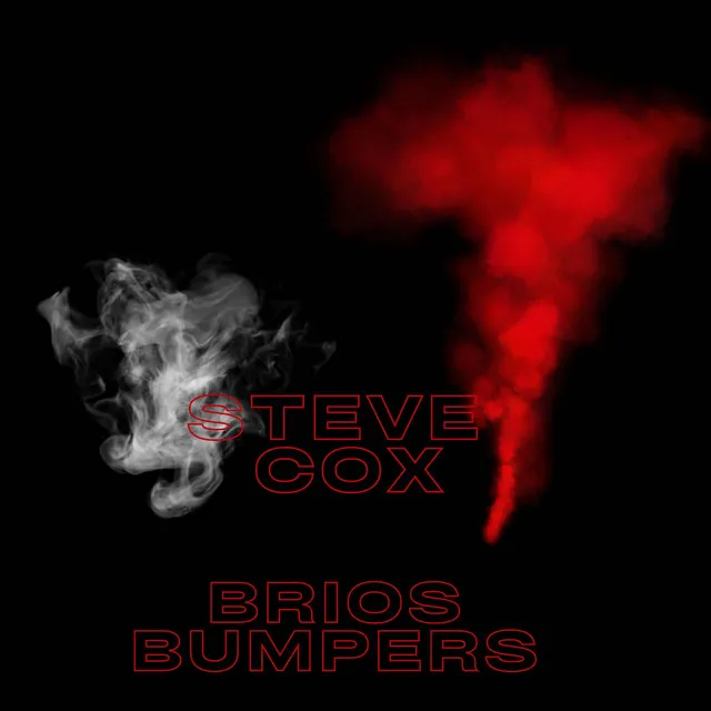 Brios Bumpers