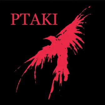 Ptaki by DRET aka DREAMER