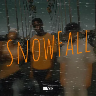 SnowFall by Buzzie