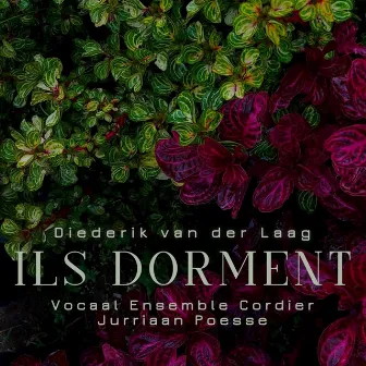 Ils Dorment by Diederik van der Laag